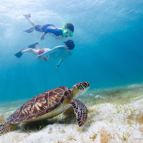 Belize all-inclusive packages