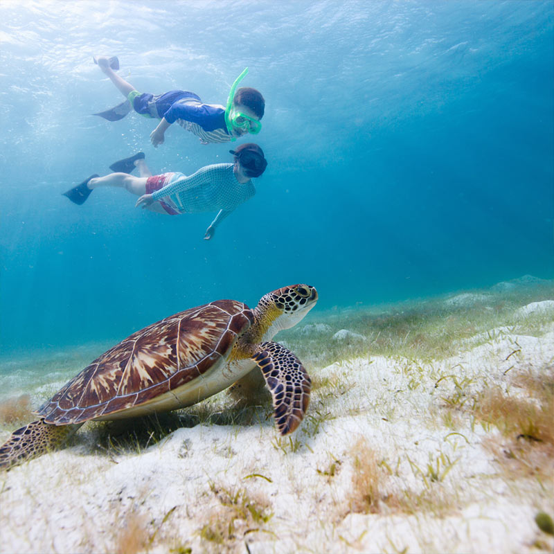 San Pedro Belize tours