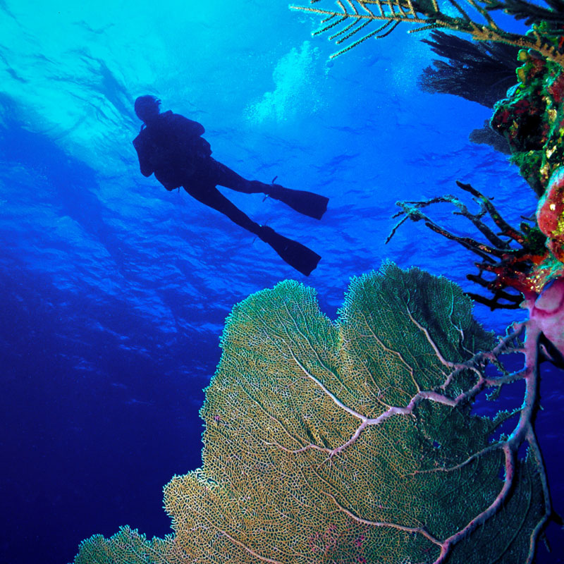 belize diving package