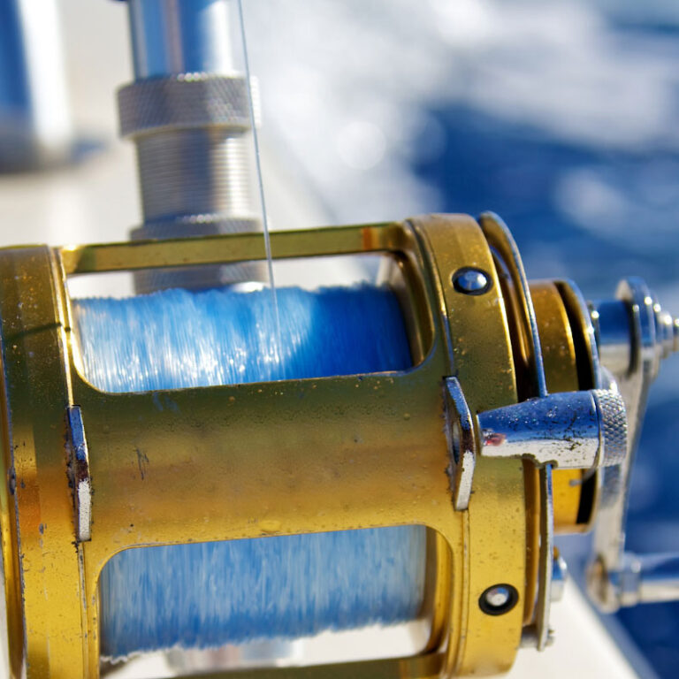 San Pedro Belize Fishing Tours | Reef Fishing | Fly Fishing Tours