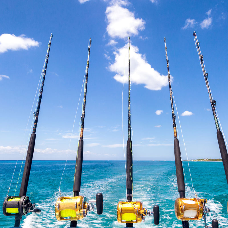 belize fishing tours