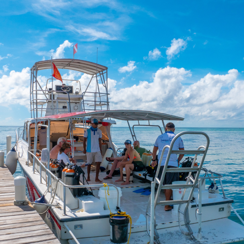 dive resort ambergris caye belize1