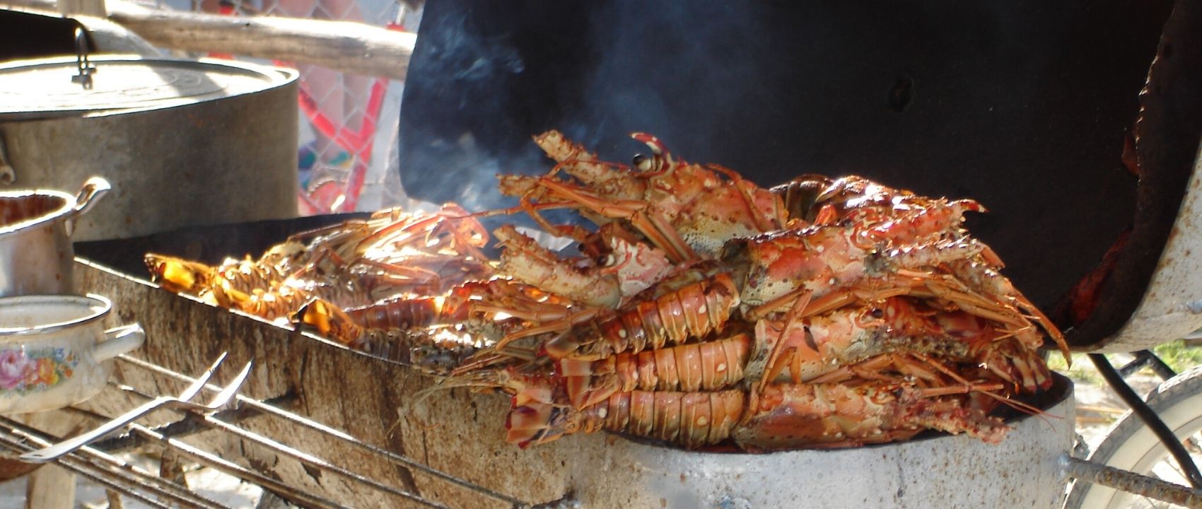 Belize Lobster Fest 2022 Ambergris Caye Sunbreeze Hotel