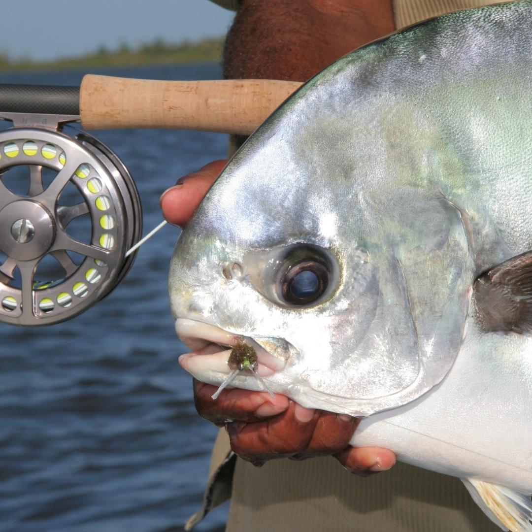 fly fishing belize