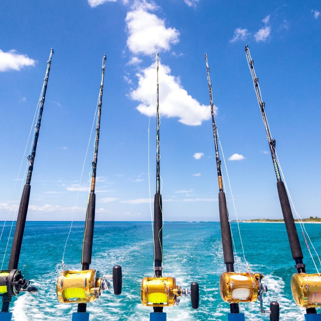 reef fishing belize