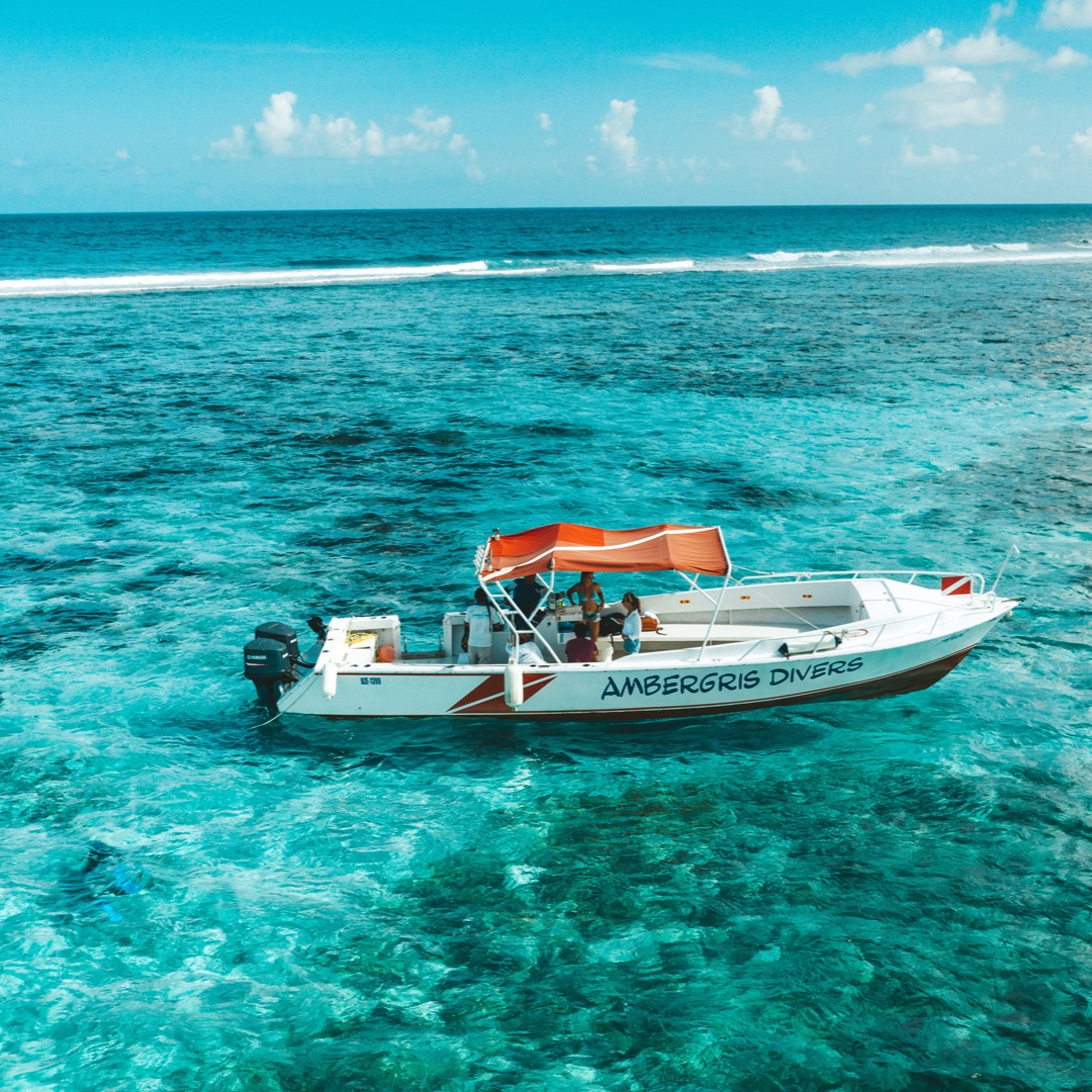 snorkel belize barrier reef