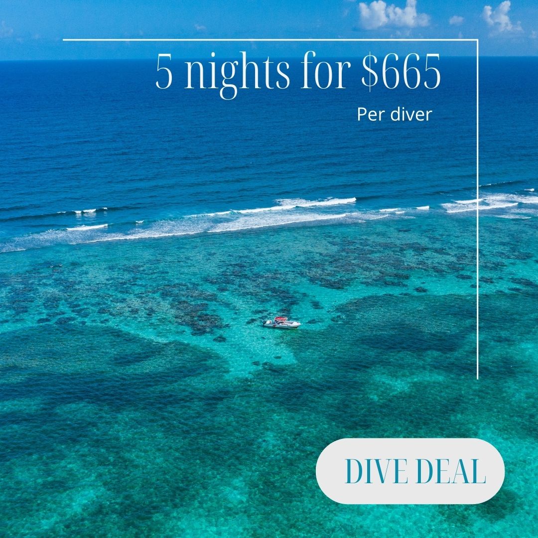 belize dive resort10