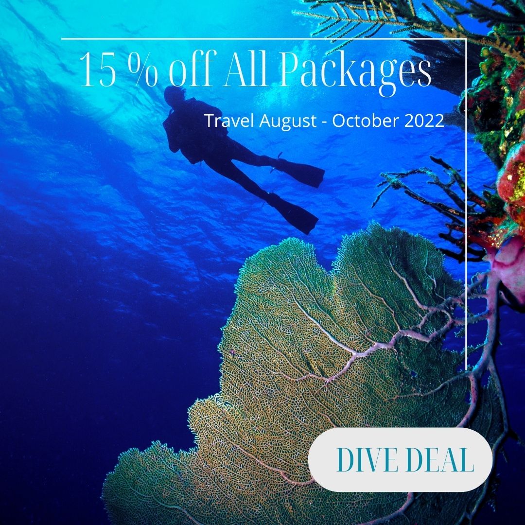 belize dive resort11