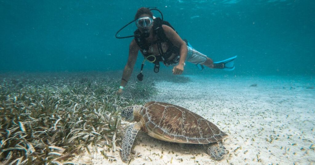 Belize Barrier Reef 