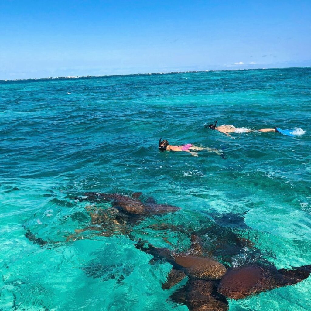top places to snorkel ambergris caye 