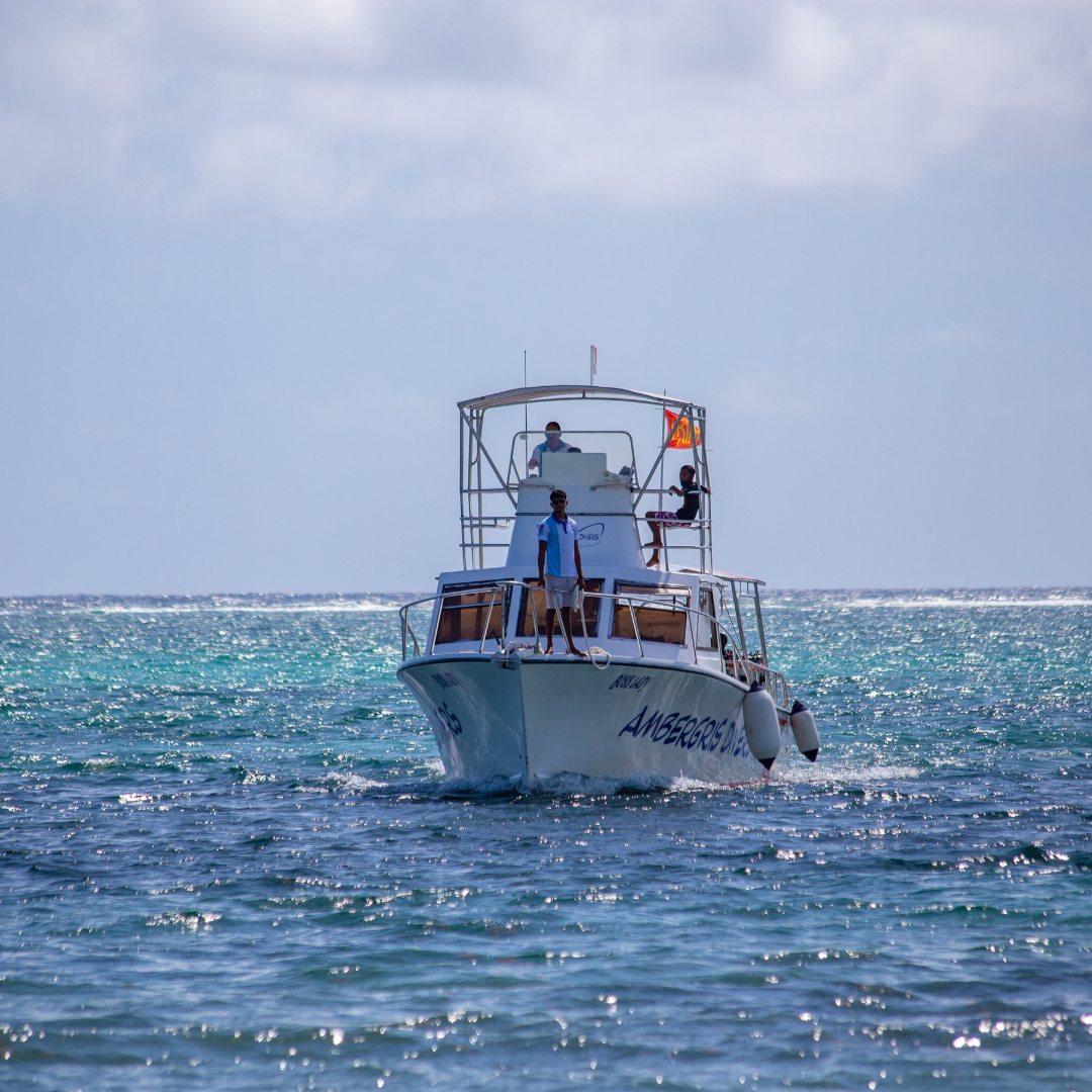 sunbreeze hotel top dive resort belize10